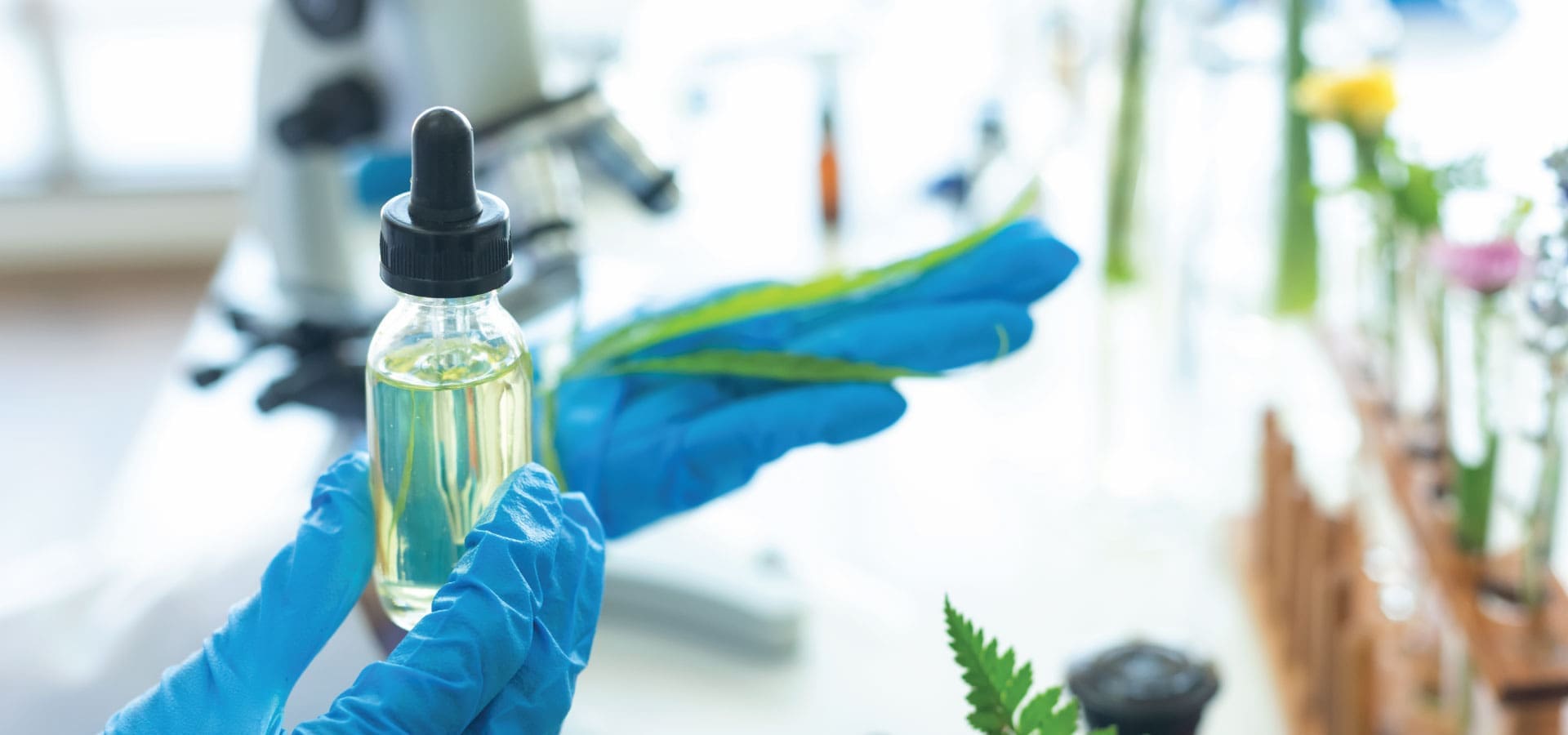 A person wearing blue gloves holds a bottle of cannabis oil, showcasing its label and contents.
