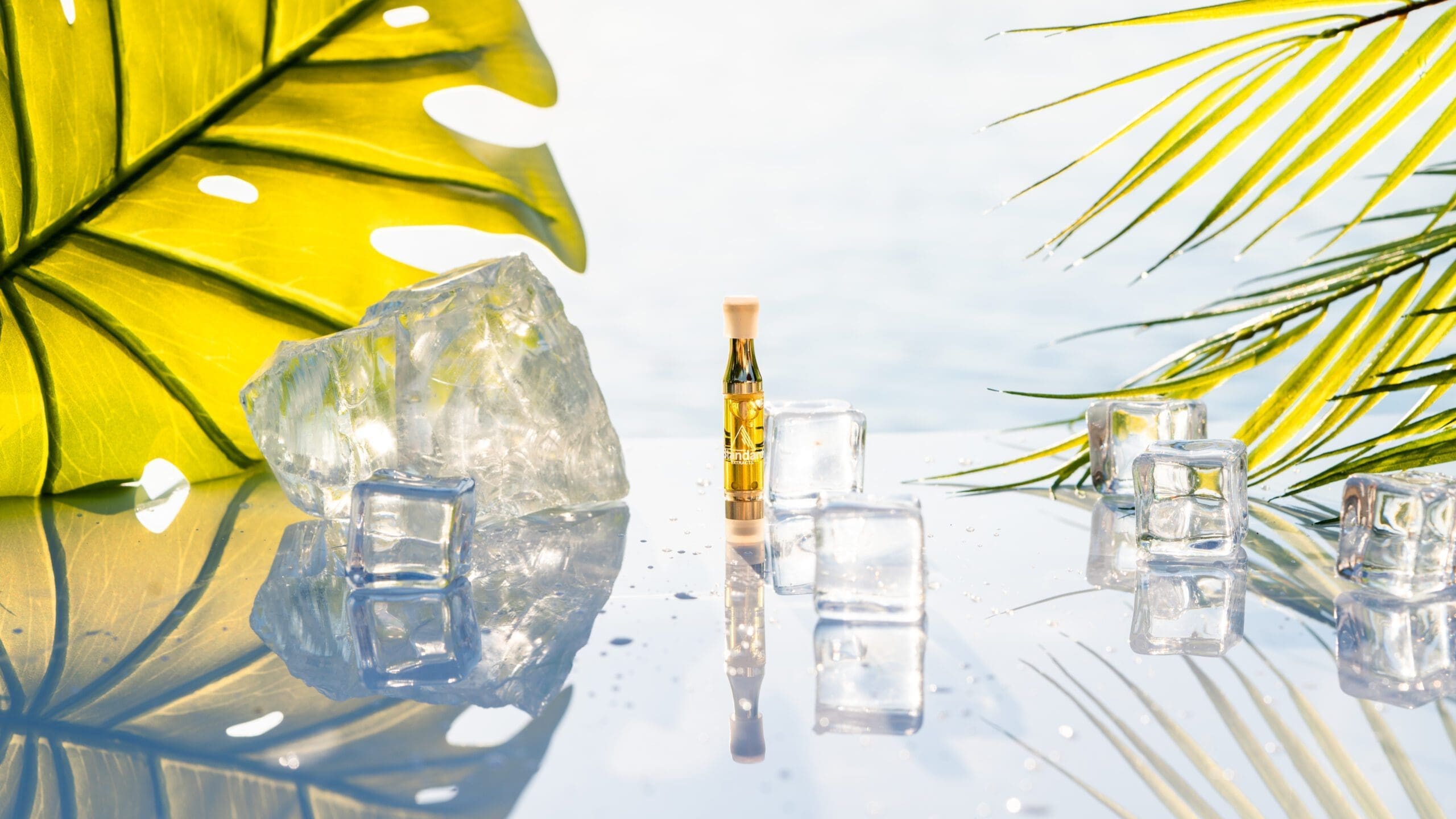 A bottle of oil on a table, accompanied by a green palm leaf, creating a tropical ambiance.